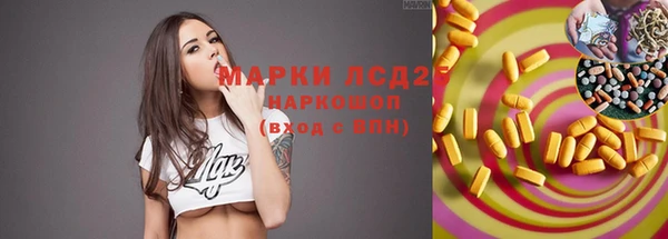 твердый Сосновый Бор