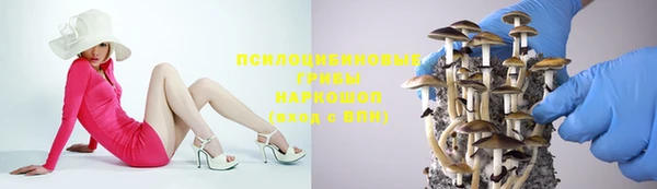 наркотики Белокуриха