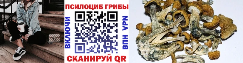 Псилоцибиновые грибы Magic Shrooms  Очёр 